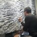 Artistas internacionales están eligiendo el sureste para crear: qué está pasando en Mérida